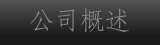 公司概述